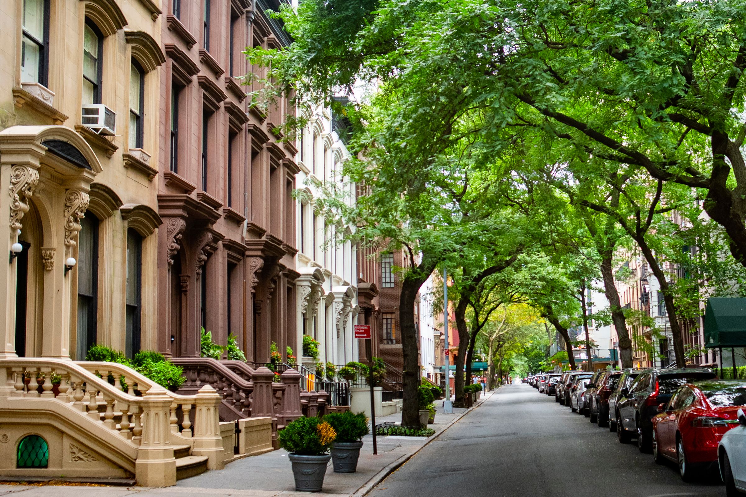 Tree-lined Brooklyn street with brownstone homes
